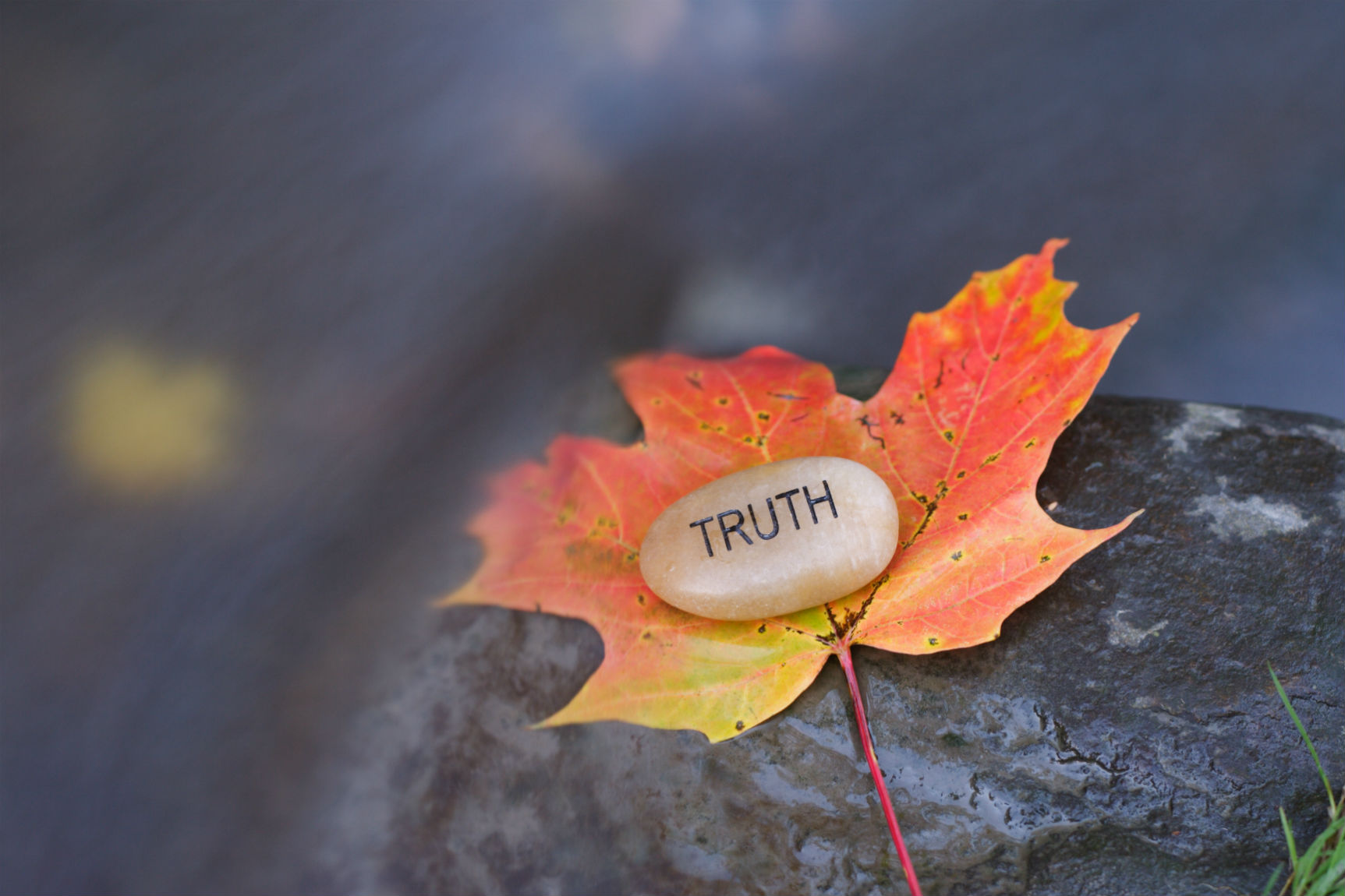 Truth on a rock